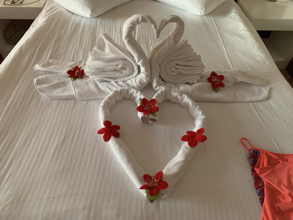 Zimmer Seaden Sea World Resort & Spa