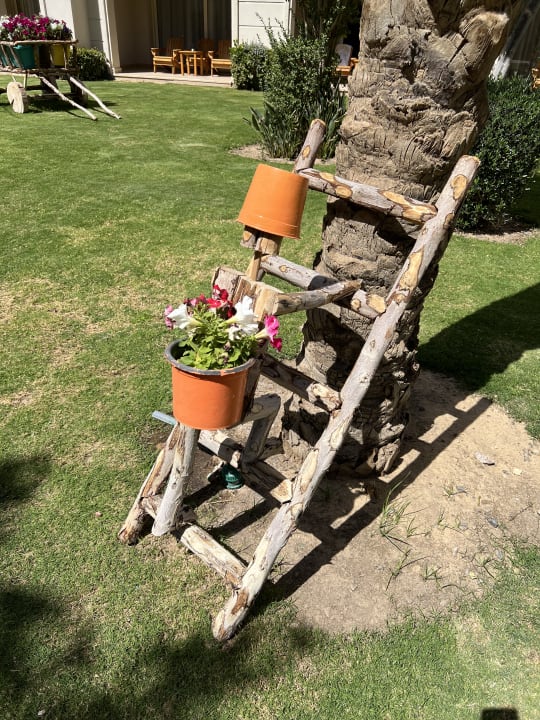 Gartenanlage Jaz Soma Beach