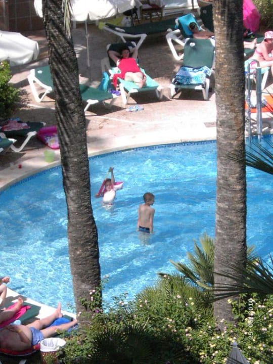 Pool Protur Palmeras Playa Aparthotel