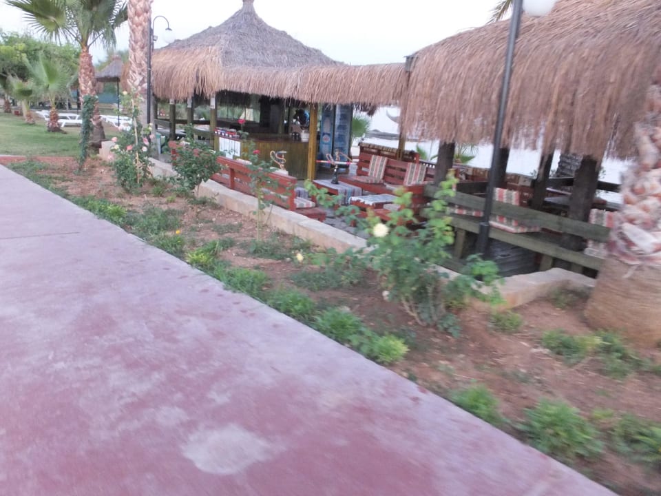 Hoteleigene Shishabar Oz Hotels Incekum Beach