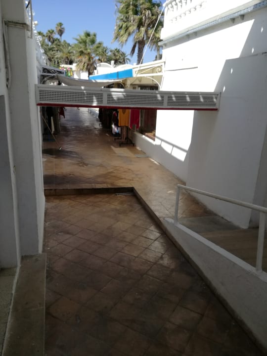 Sonstiges Samira Club