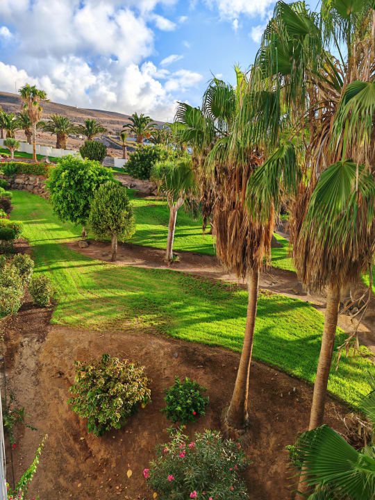 Gartenanlage allsun App.-Hotel Esquinzo Beach