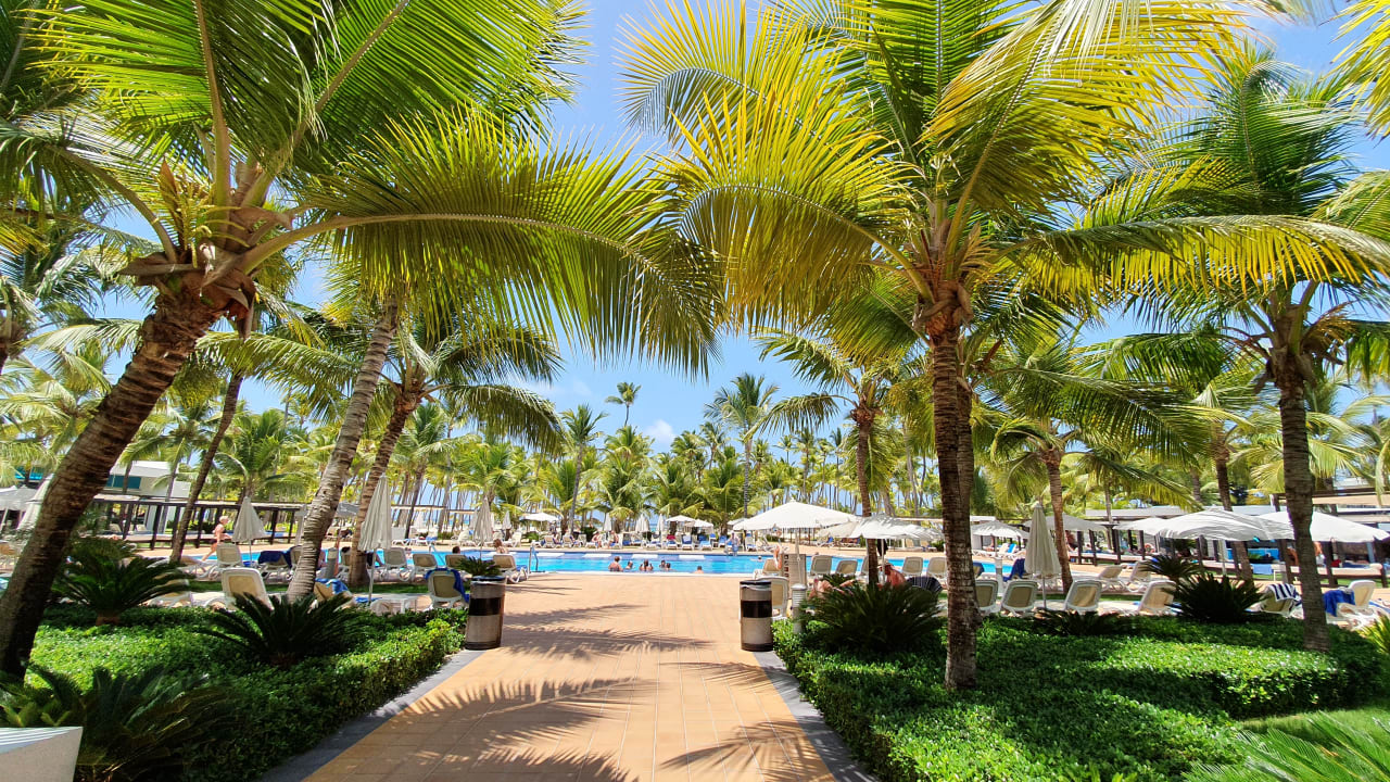 Pool Hotel Riu Palace Macao - Adults only