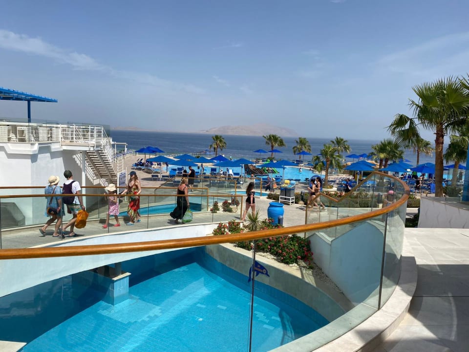 Pool Pickalbatros Palace Resort