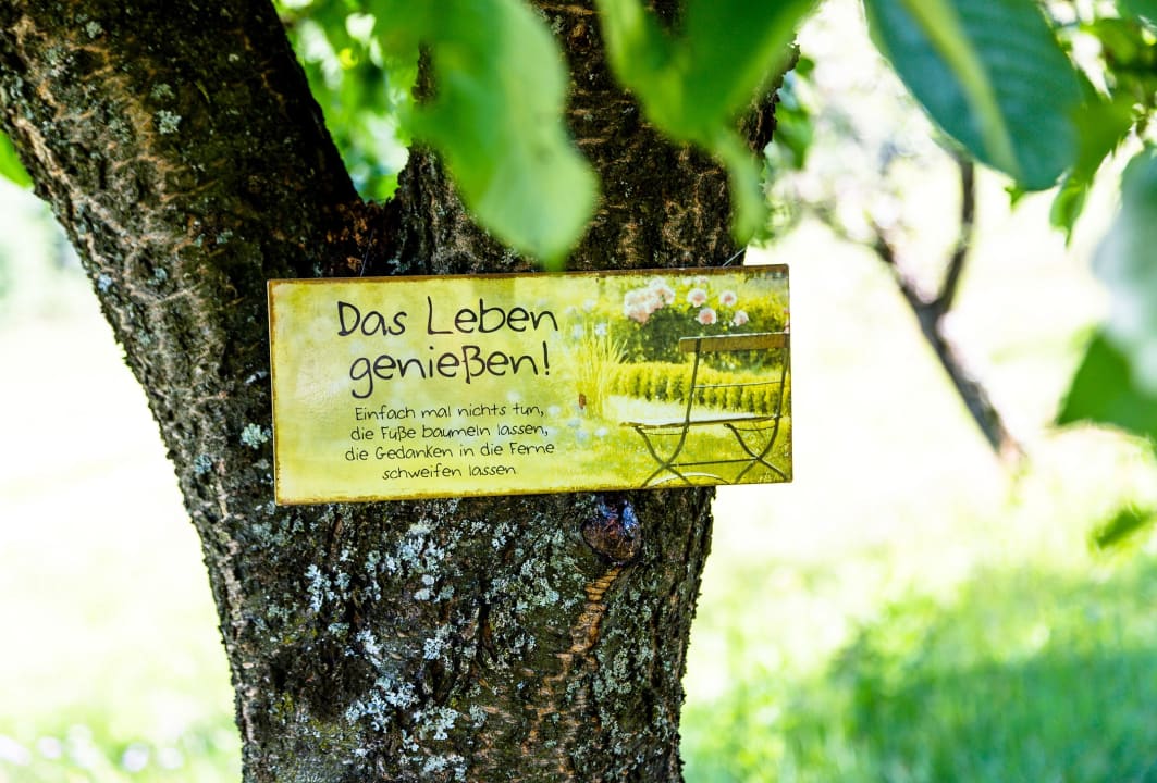 Gartenanlage Birkenhof Loipersdorf