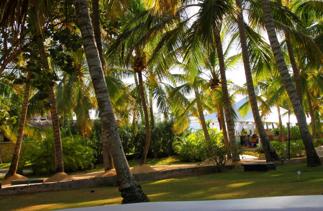 Ausblick Bungalow-Terrasse Hotel Viva Dominicus Beach by Wyndham - All Inclusive Resort