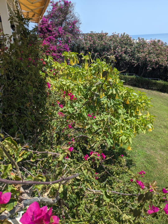 Strand Can Garden Resort