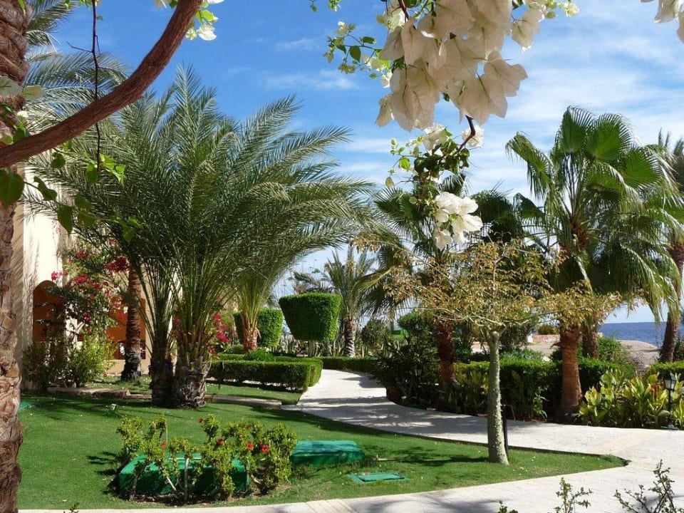 Gepflegte Gartenanlage Steigenberger Coraya Beach - Adults only