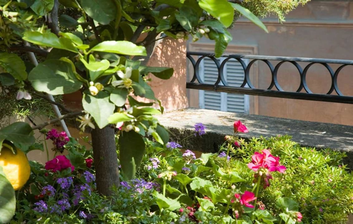 Rooftop terrace Hotel Inn at the Spanish Steps