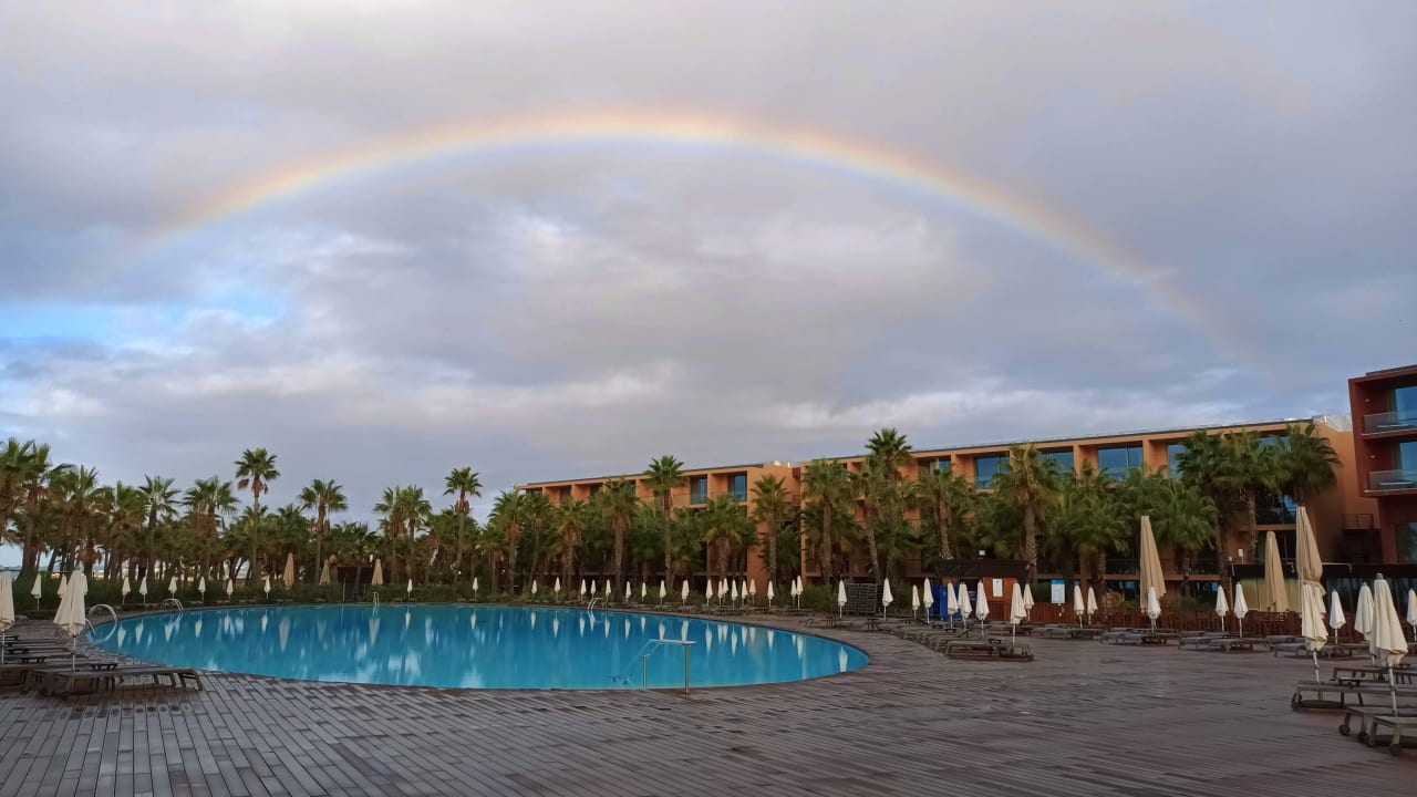 Pool Vidamar Hotel Resort Algarve
