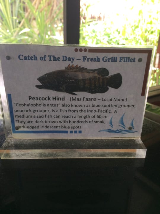 Gastro Veligandu Maldives Resort Island