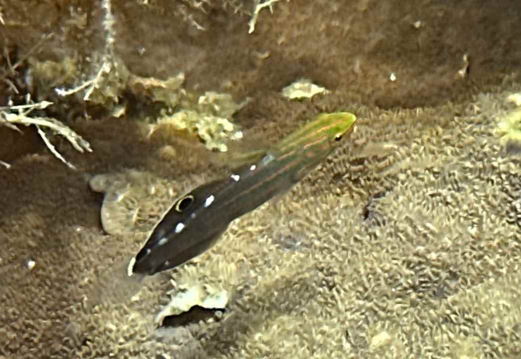 Strand Sali Bay Resort