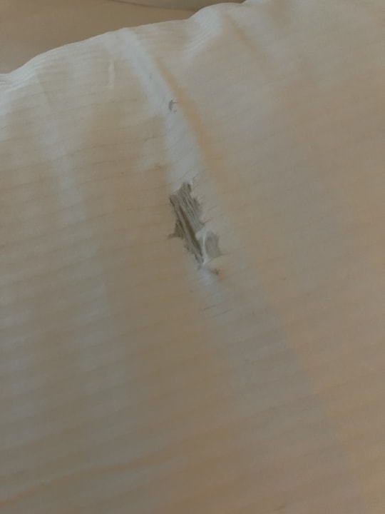 Zimmer Hotelpark Stadtbrauerei Arnstadt