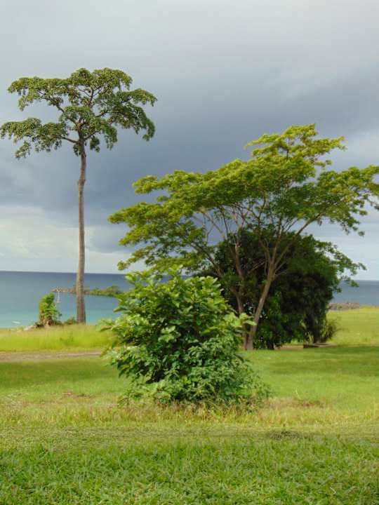 Gartenanlage Sofitel Malabo Sipopo Le Golf