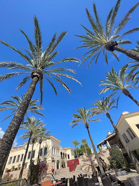 Sonstiges ROBINSON CALA SERENA