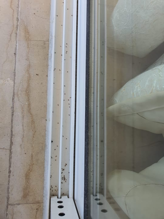 Zimmer Hotel Kalithea Mare Palace