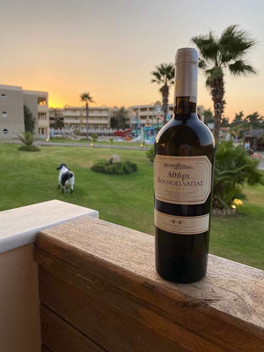 Ausblick Hotel Kalithea Horizon Royal