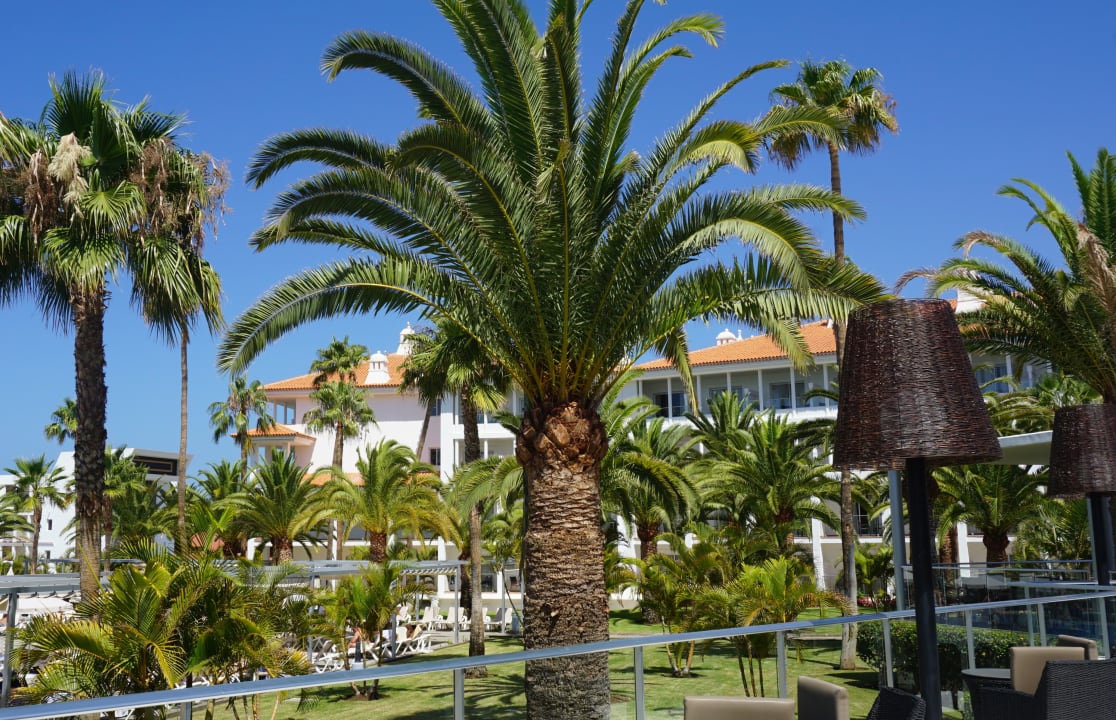 Gartenanlage Hotel Riu Arecas - Adults only