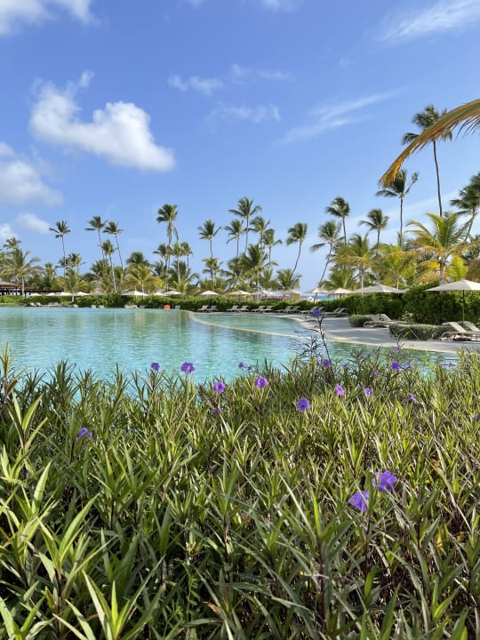 Pool Lopesan Costa Bávaro Resort, Spa & Casino