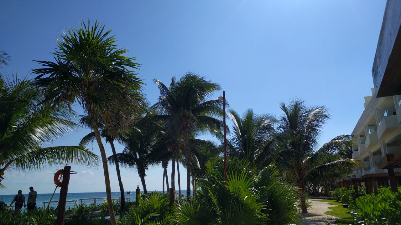 Gartenanlage Akumal Bay Beach & Wellness Resort