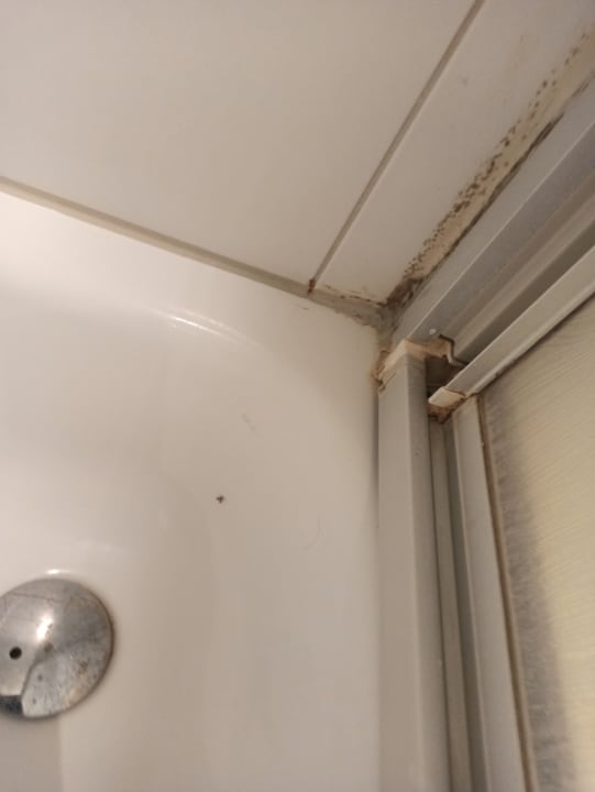 Zimmer SAVOY Hotel Bad Mergentheim