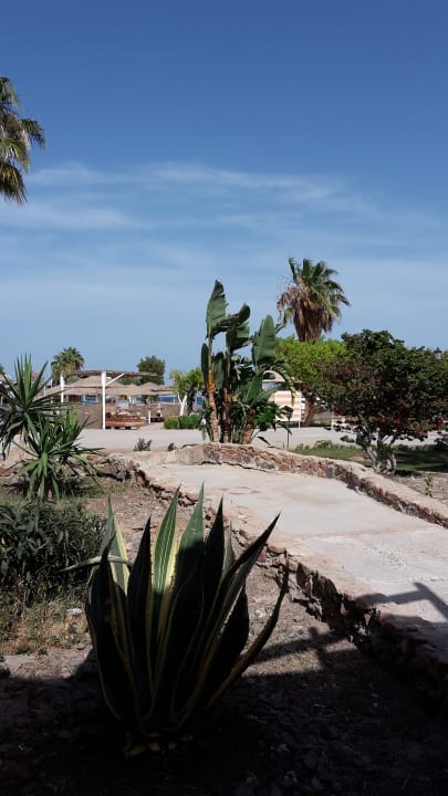 Gartenanlage Eagles Paradise Abu Soma