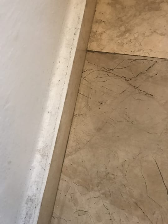 Zimmer Alp Pasa Hotel - Special Class