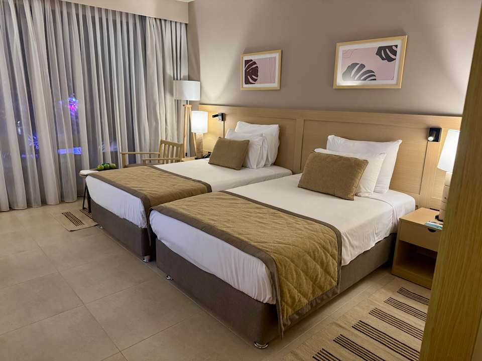 Zimmer JAZ Elite Amara