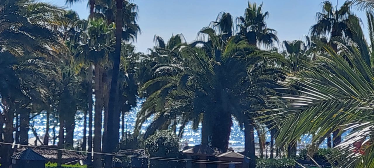 Gartenanlage Hotel Miramare Beach