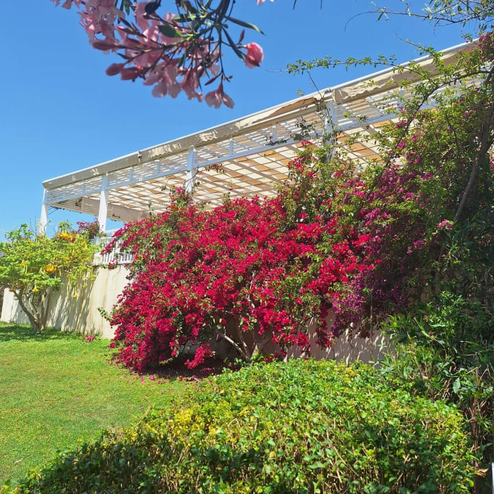 Gartenanlage Can Garden Resort