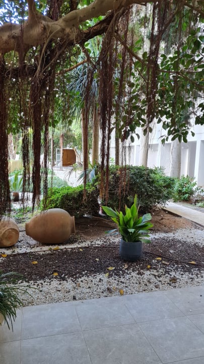 Gartenanlage Aparthotel Ses Fotges