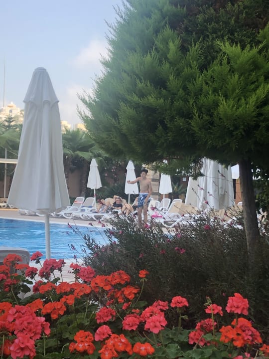 Pool Dizalya Palm Garden