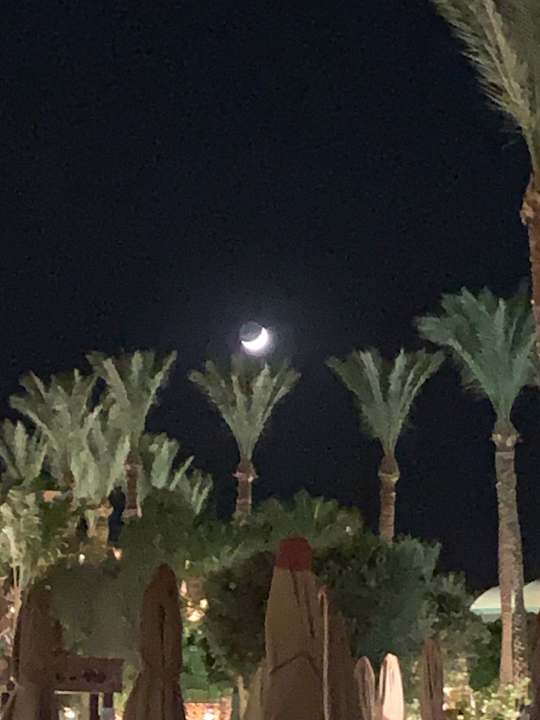 Außenansicht Makadi Spa - Adults only