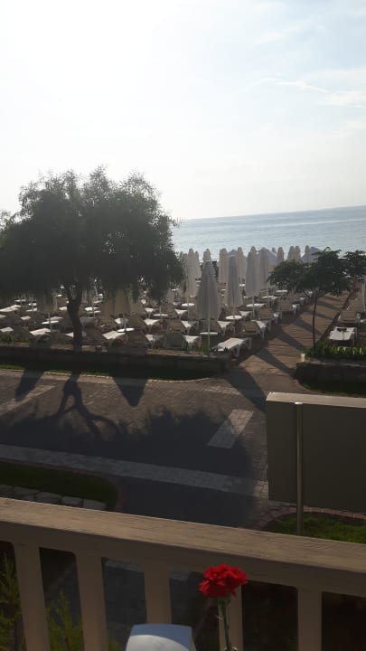 Blick auf den Strand  Can Garden Beach