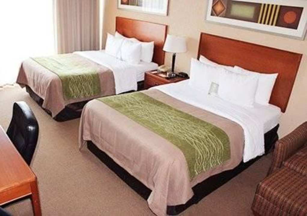 Guest Room  Comfort Inn