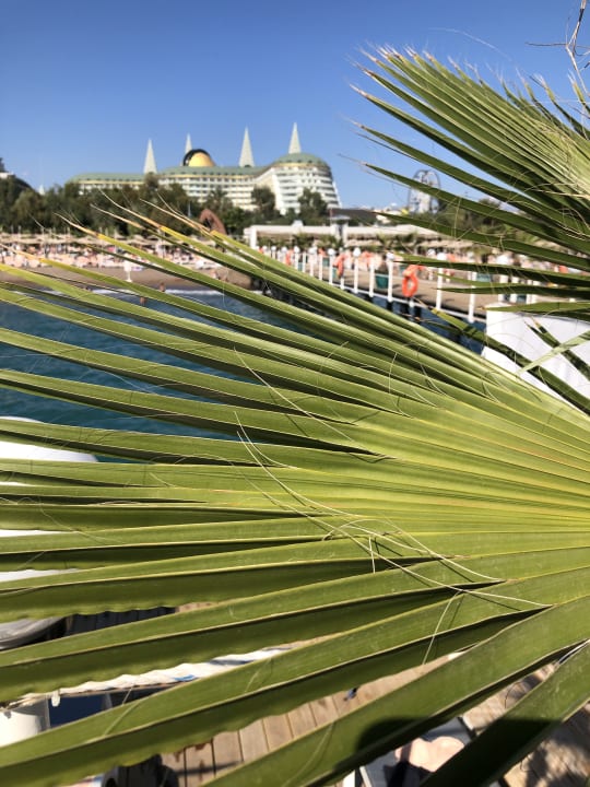 Außenansicht Hotel Delphin Imperial