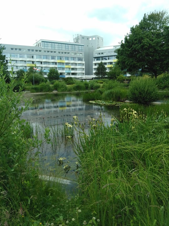 Gartenanlage Ferienhauspark Asgard in Damp