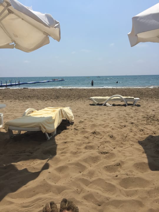 Strand Arum Barut Collection