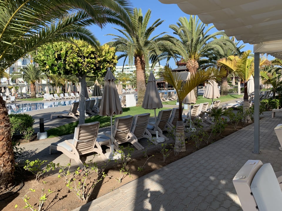 Außenansicht Hotel Riu Palace Tenerife