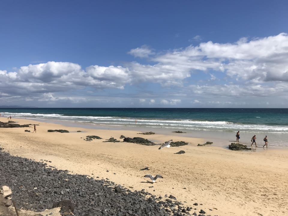 Strand Royal Palm Resort & Spa - Adults only