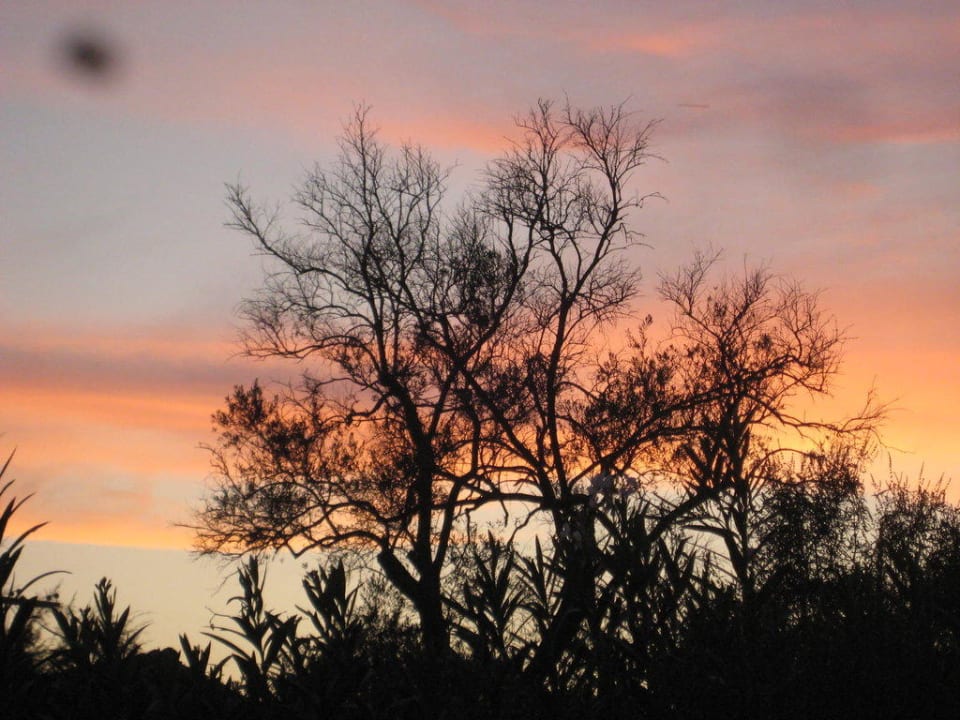 Sonnenuntergang auf der Terrasse Sentido Apollo Palace