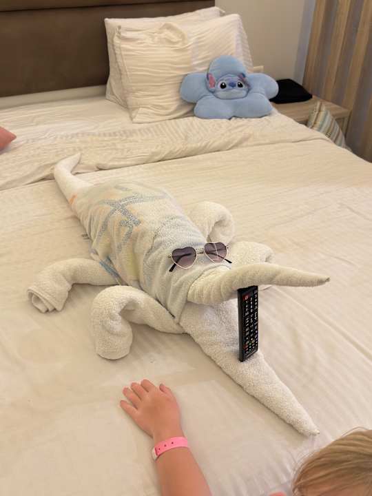 Zimmer Titanic Royal