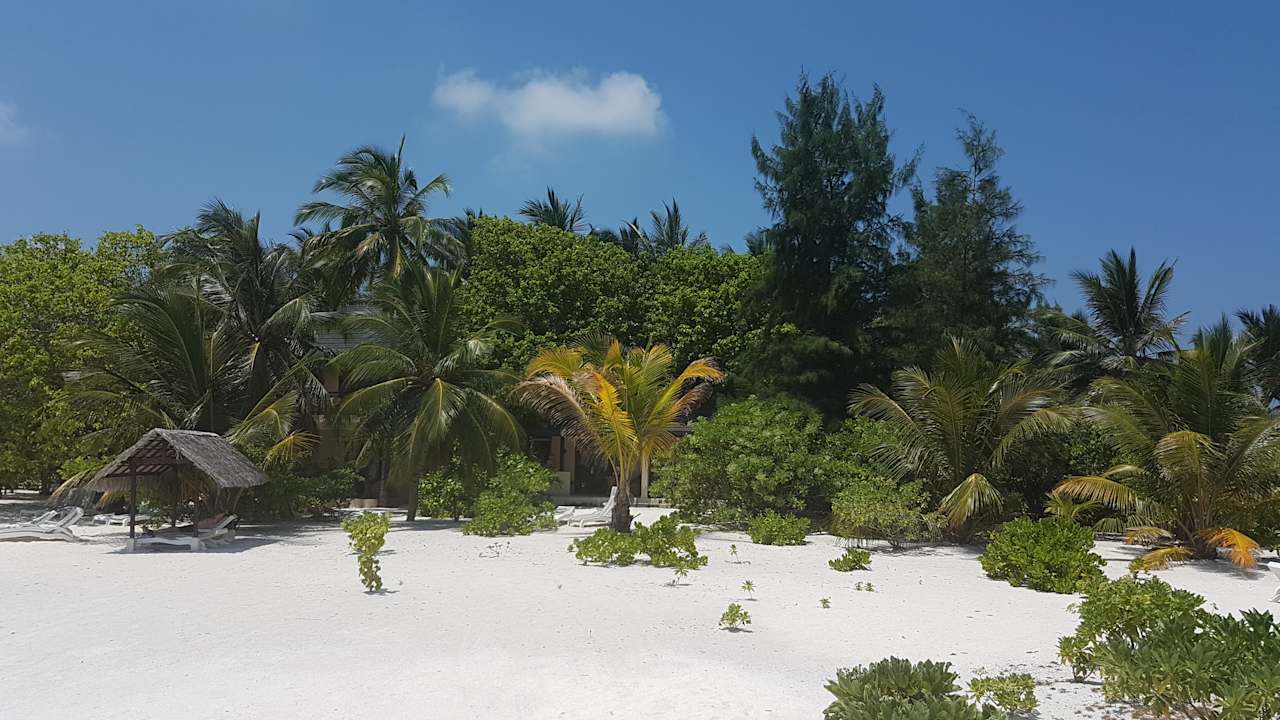 Strand Summer Island Maldives