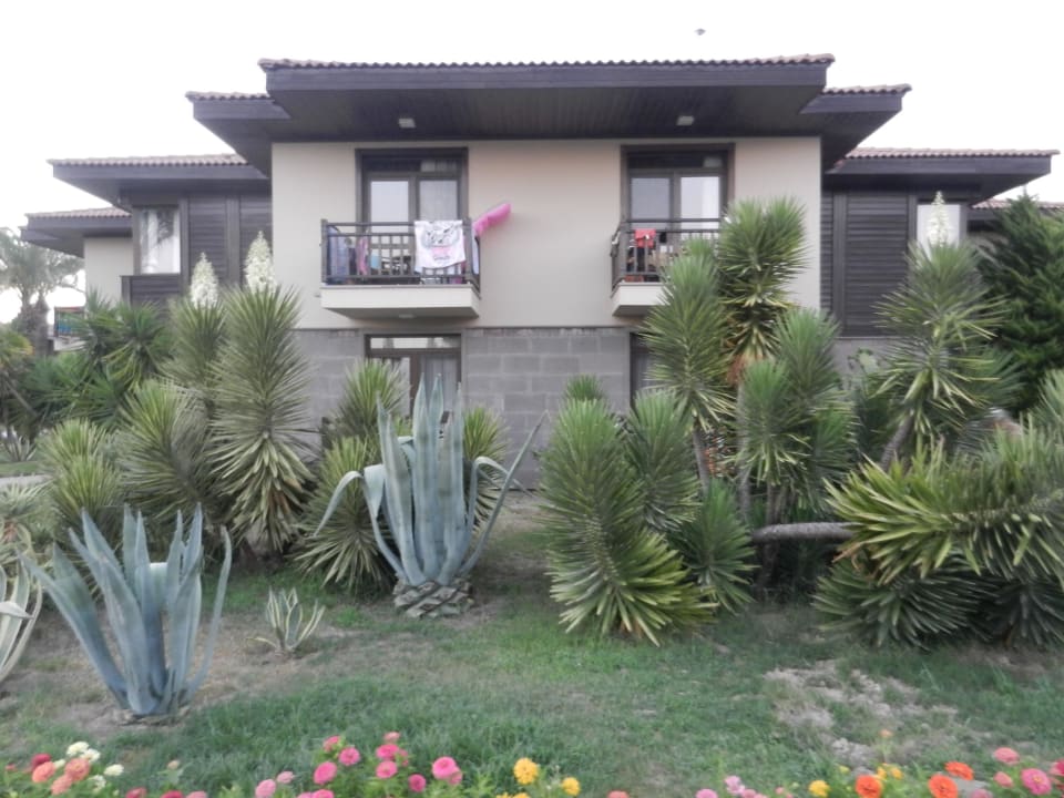 In so einem Häuschen haben wir gewohnt  TUI BLUE Palm Garden