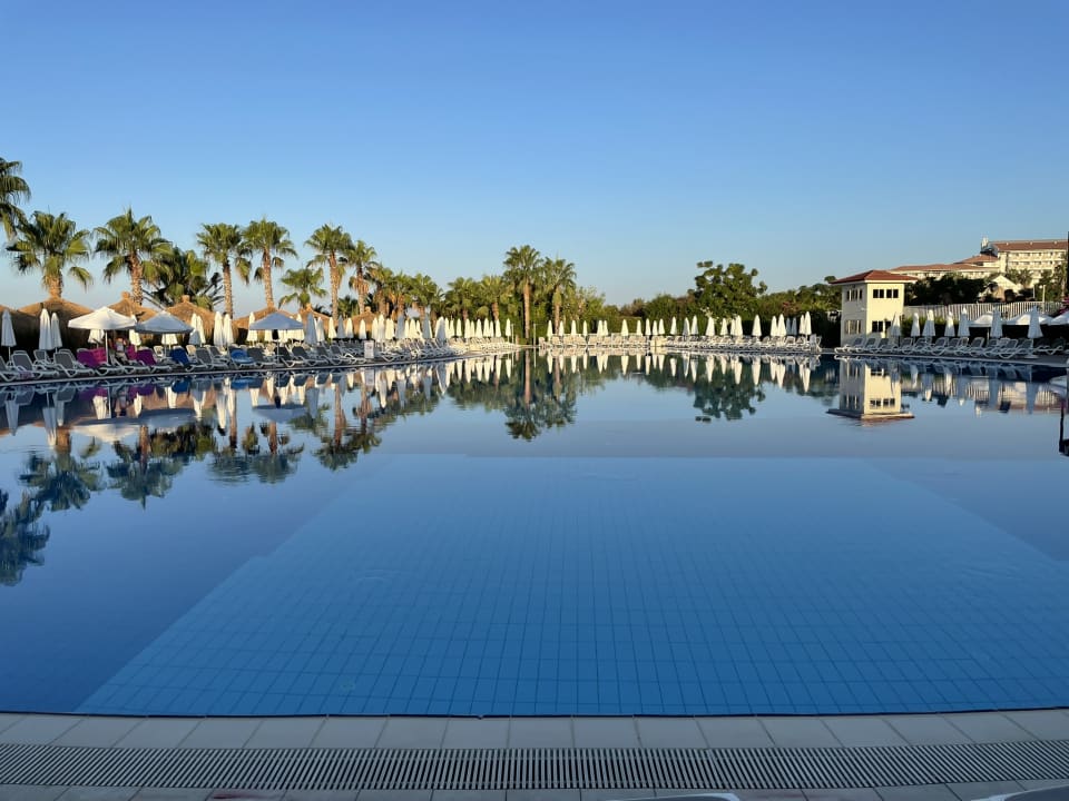 Pool Paloma Oceana