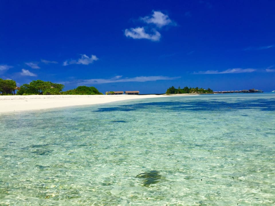 Glasklares Wasser The Residence Maldives