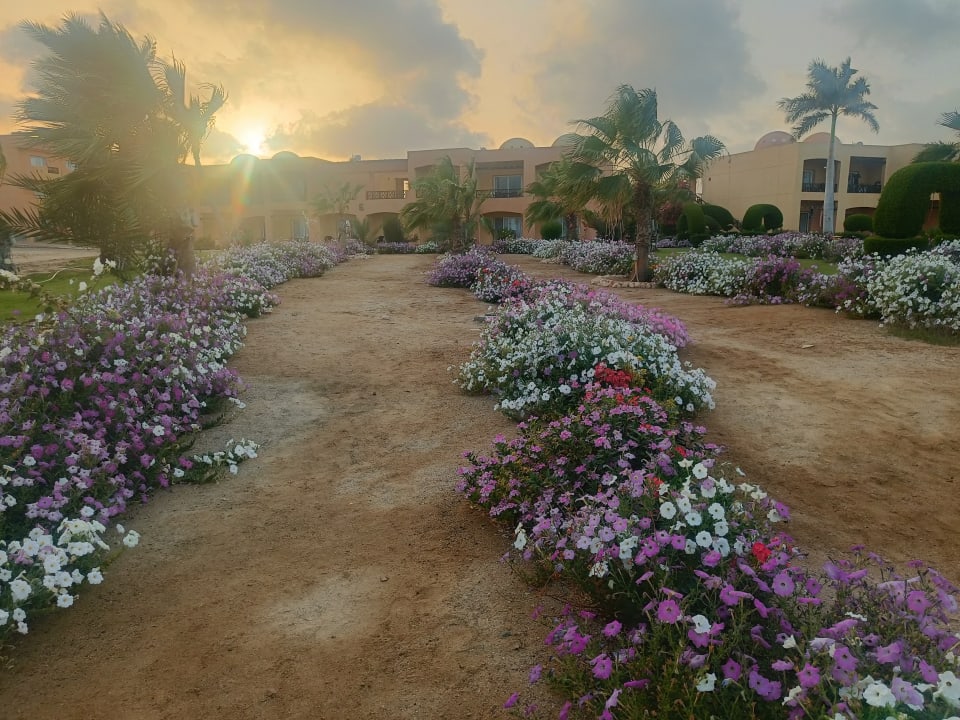 Gartenanlage Wadi Lahmy Azur Resort