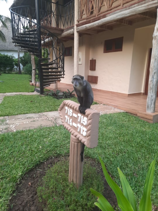 Gartenanlage Neptune Palm Beach Boutique Resort & Spa