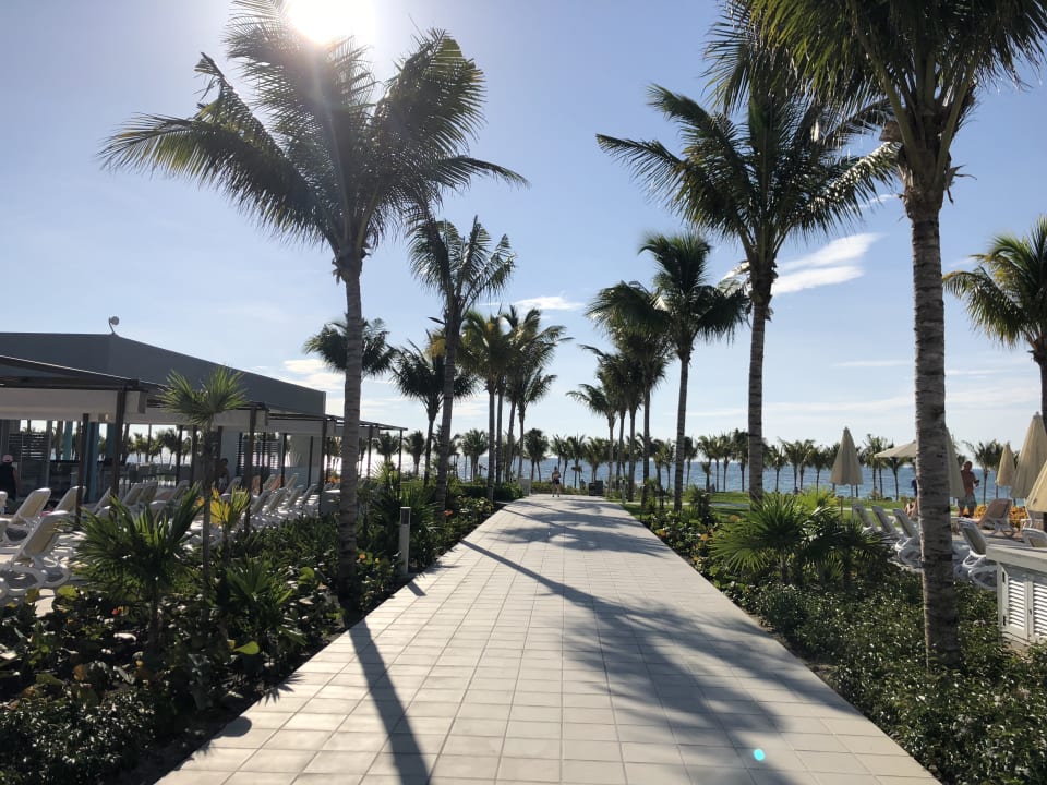 Garten Hotel Riu Dunamar