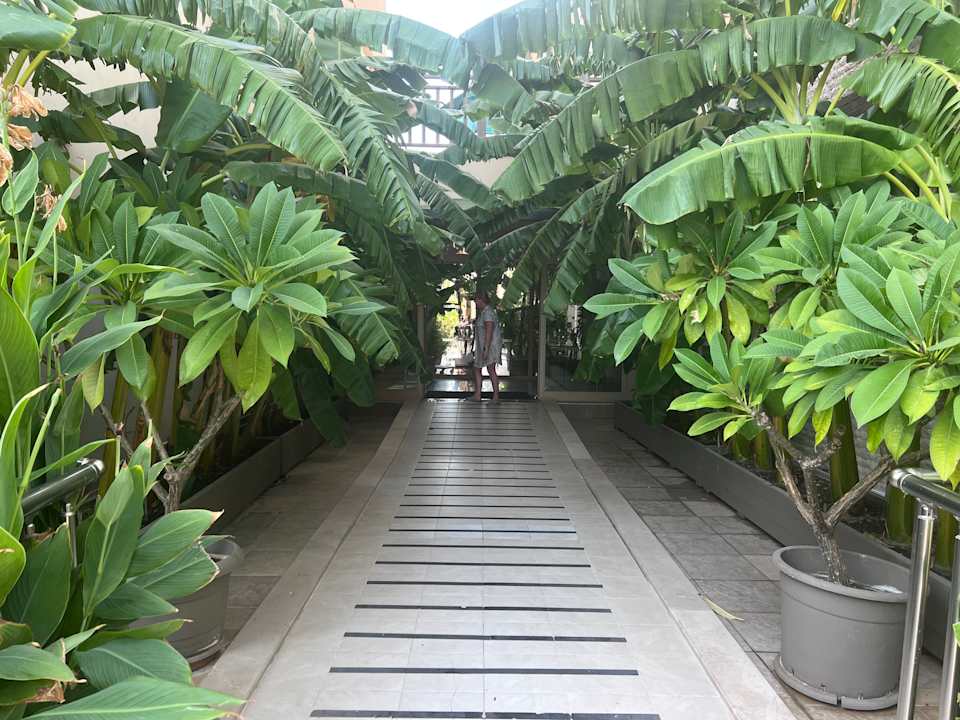 Sonstiges Can Garden Resort